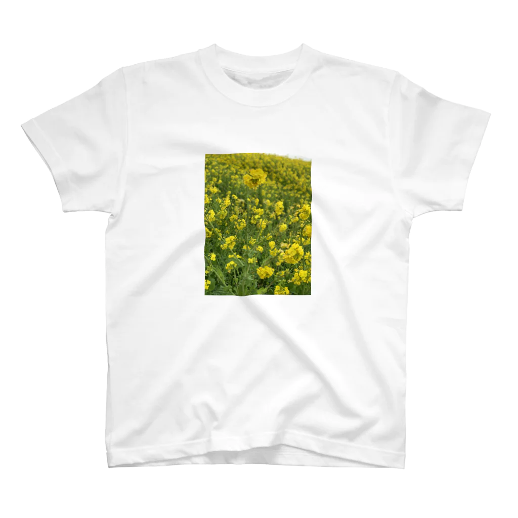 ken_nogiの菜の花 Regular Fit T-Shirt