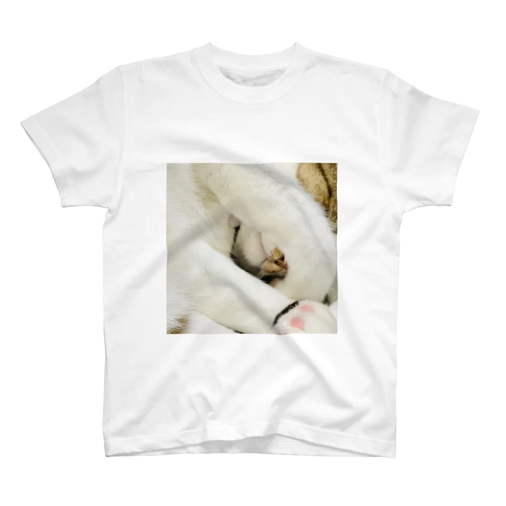 はやしの寝てる猫 スタンダードTシャツ