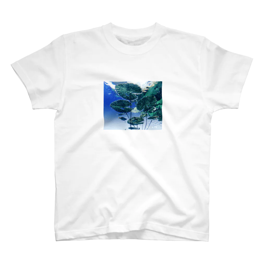 メロン味が食べたいのAquatic plants スタンダードTシャツ