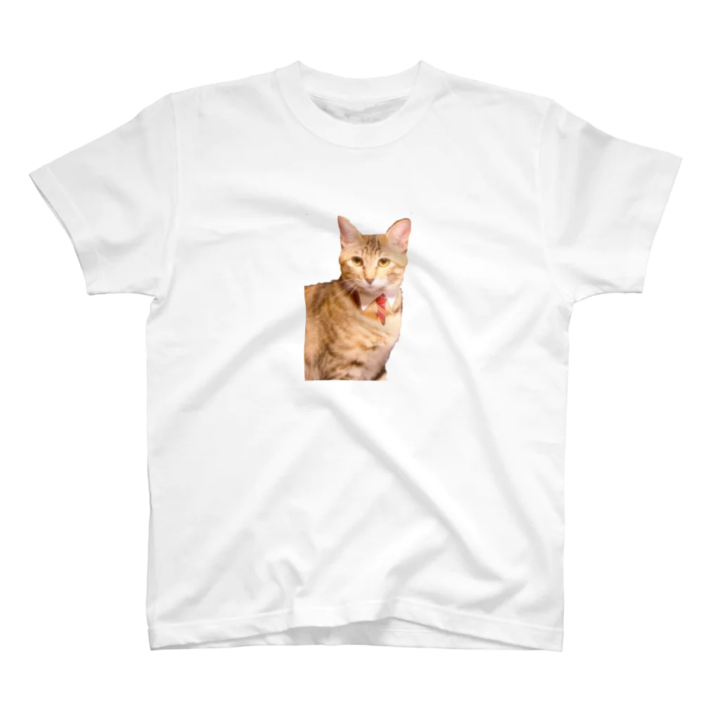 蛍遺 ( ˘꒳˘ )ケ・セラ・セラのネクタイ猫 スタンダードTシャツ