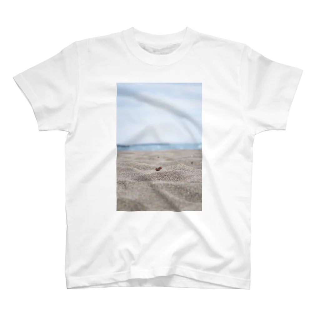 虚無と写真の六月の海 Regular Fit T-Shirt