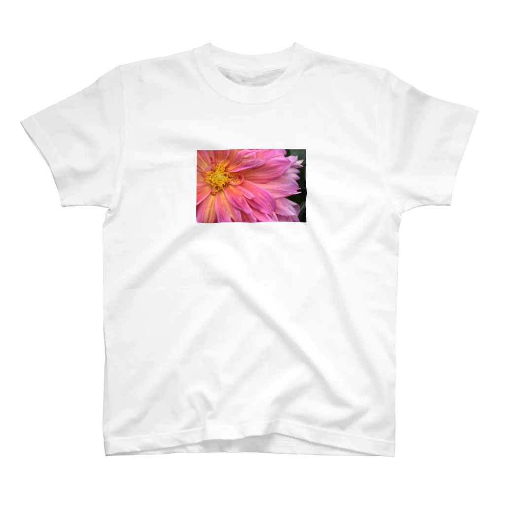 flower_basketのピンクの花 スタンダードTシャツ