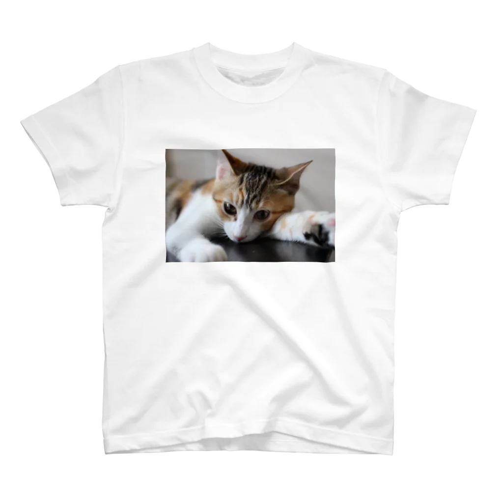 猫森トモミの三毛猫ネネ スタンダードTシャツ