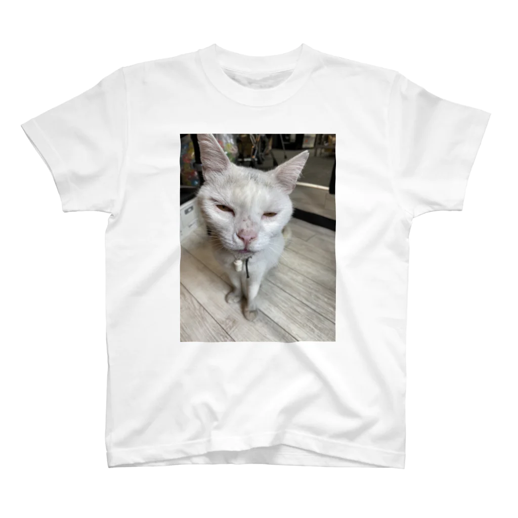 monogenicのNeko Regular Fit T-Shirt