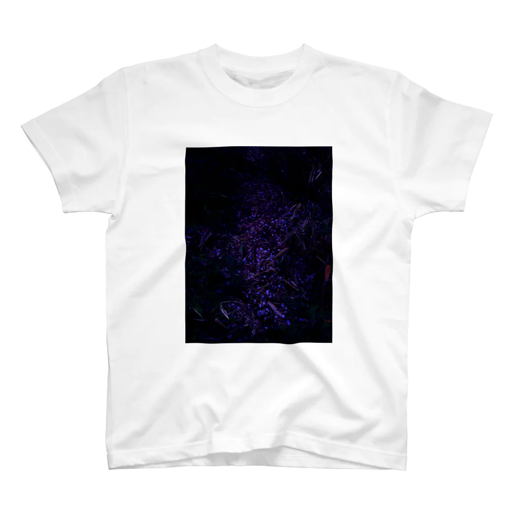 hiroki-naraの桜　サクラ　cherry blossom DATA_P_153　春　spring スタンダードTシャツ