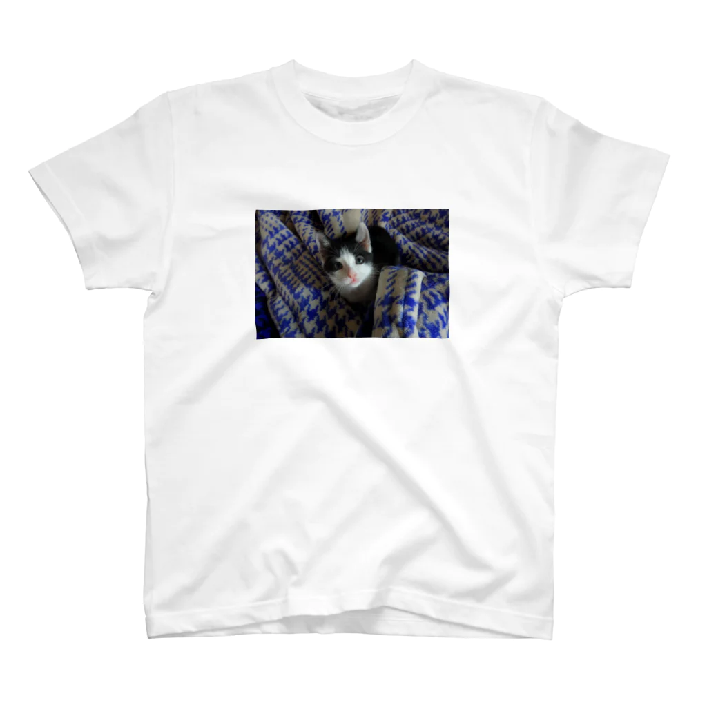 猫太郎の2019年5月2日 スタンダードTシャツ