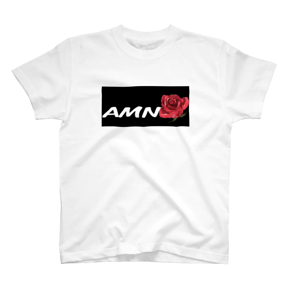 AMNのAMN スタンダードTシャツ