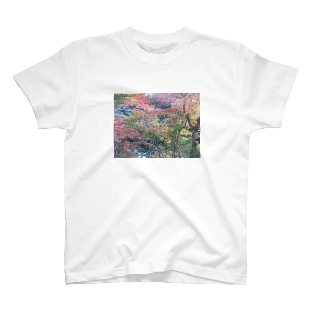 たこまりの高尾山 スタンダードTシャツ