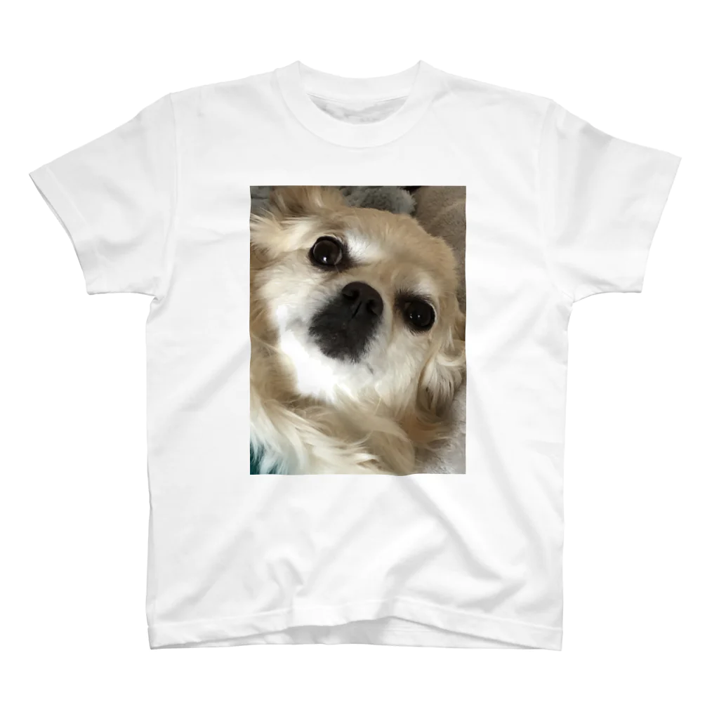 famfamの犬・動物 スタンダードTシャツ