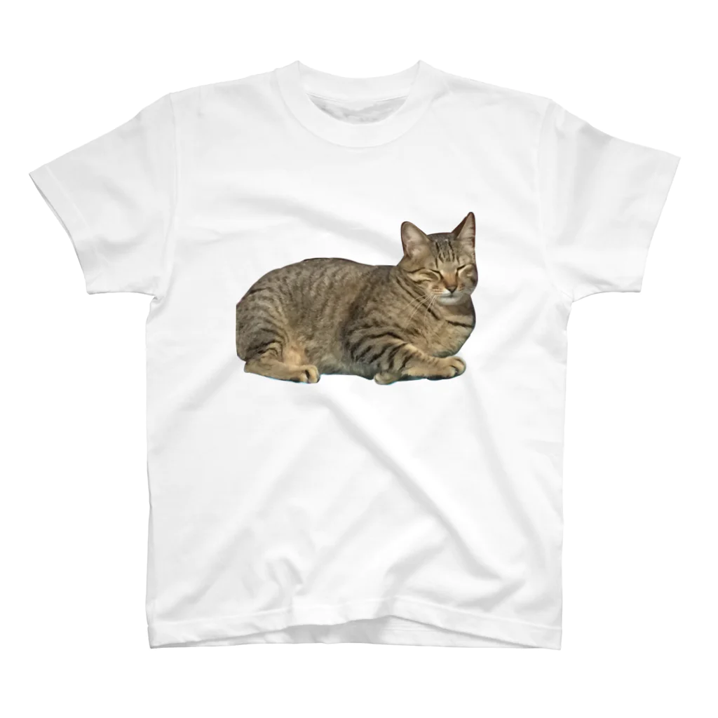 えのきの猫 Regular Fit T-Shirt