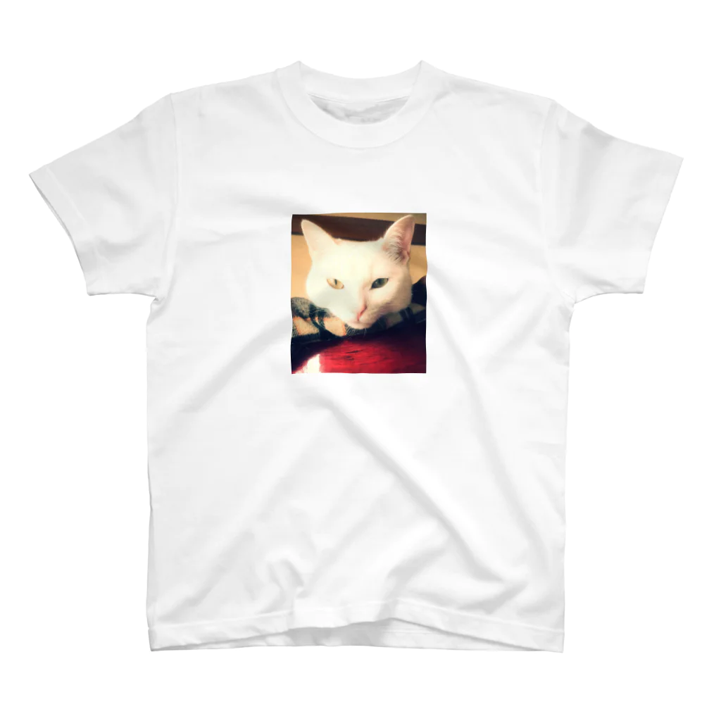 shippoの白猫ぎんくん スタンダードTシャツ