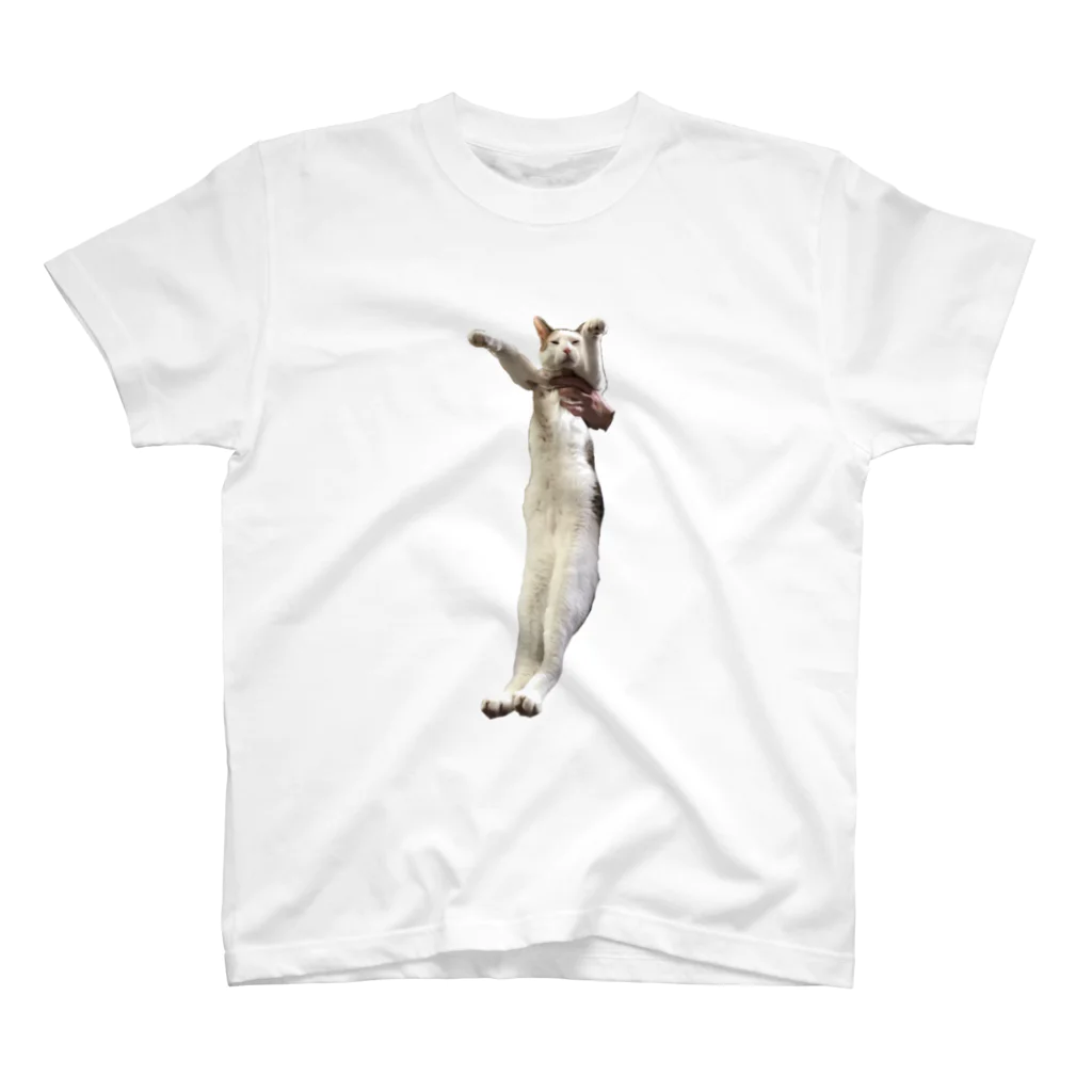 longworld.ngyの吊るされ猫 Regular Fit T-Shirt