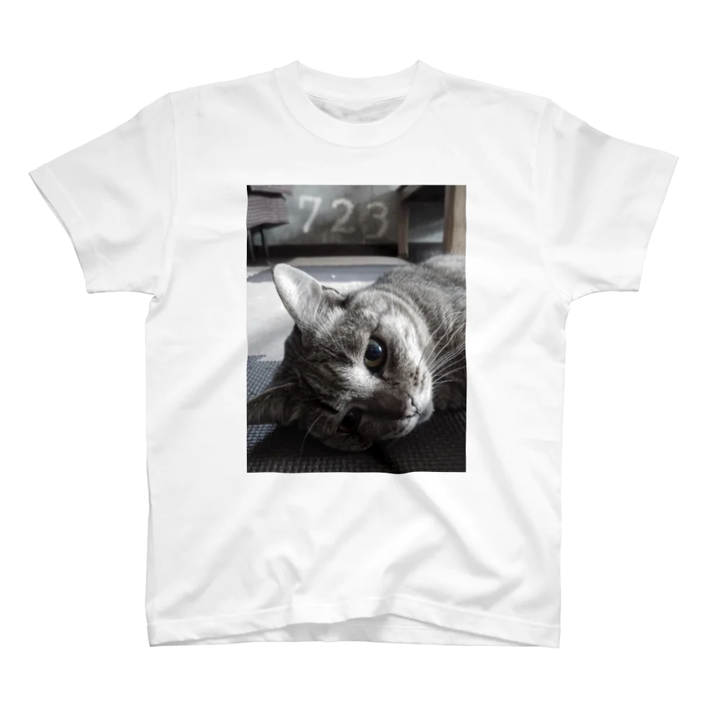 もりりんの猫Tシャツ723 スタンダードTシャツ