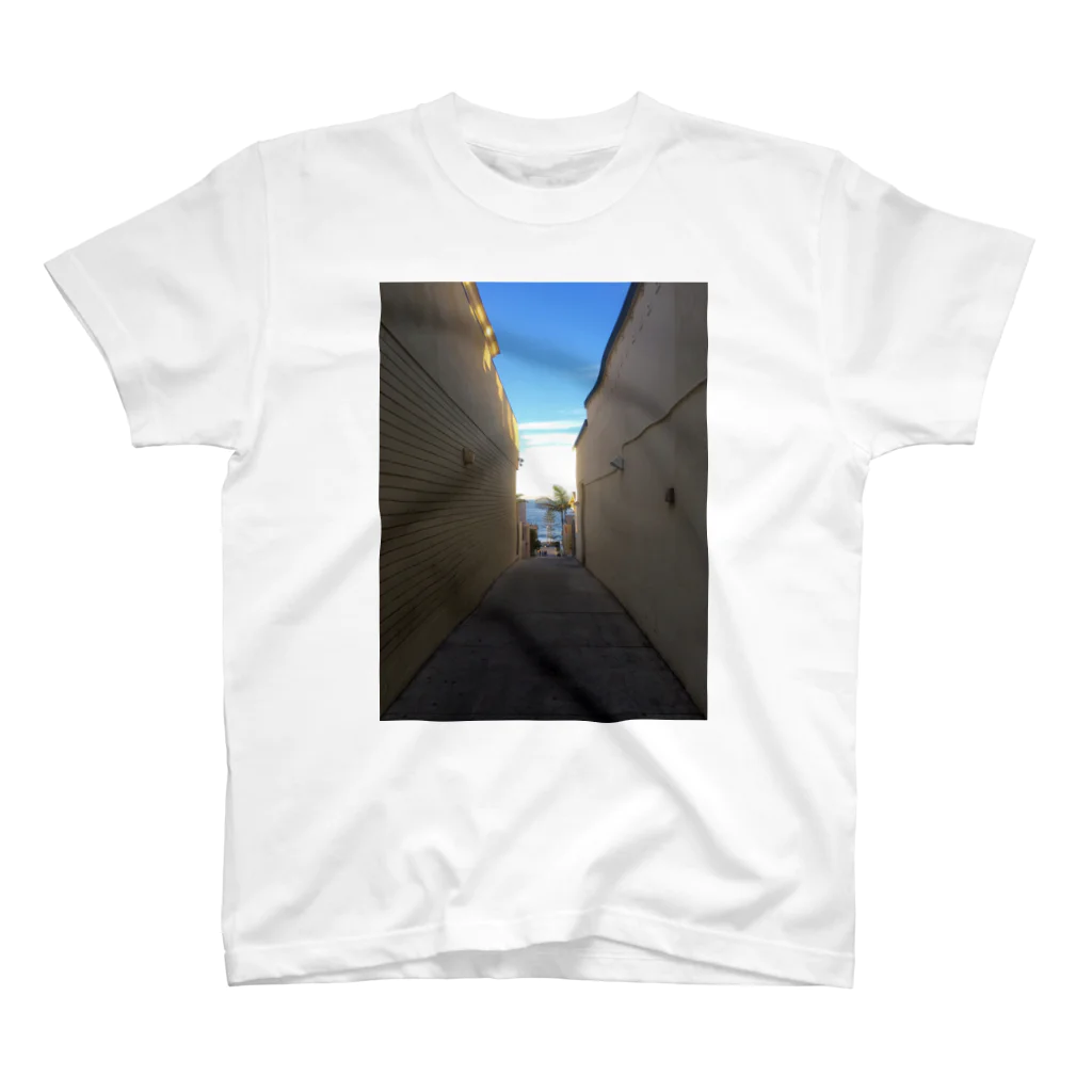 Landscape のSANDIEGO スタンダードTシャツ