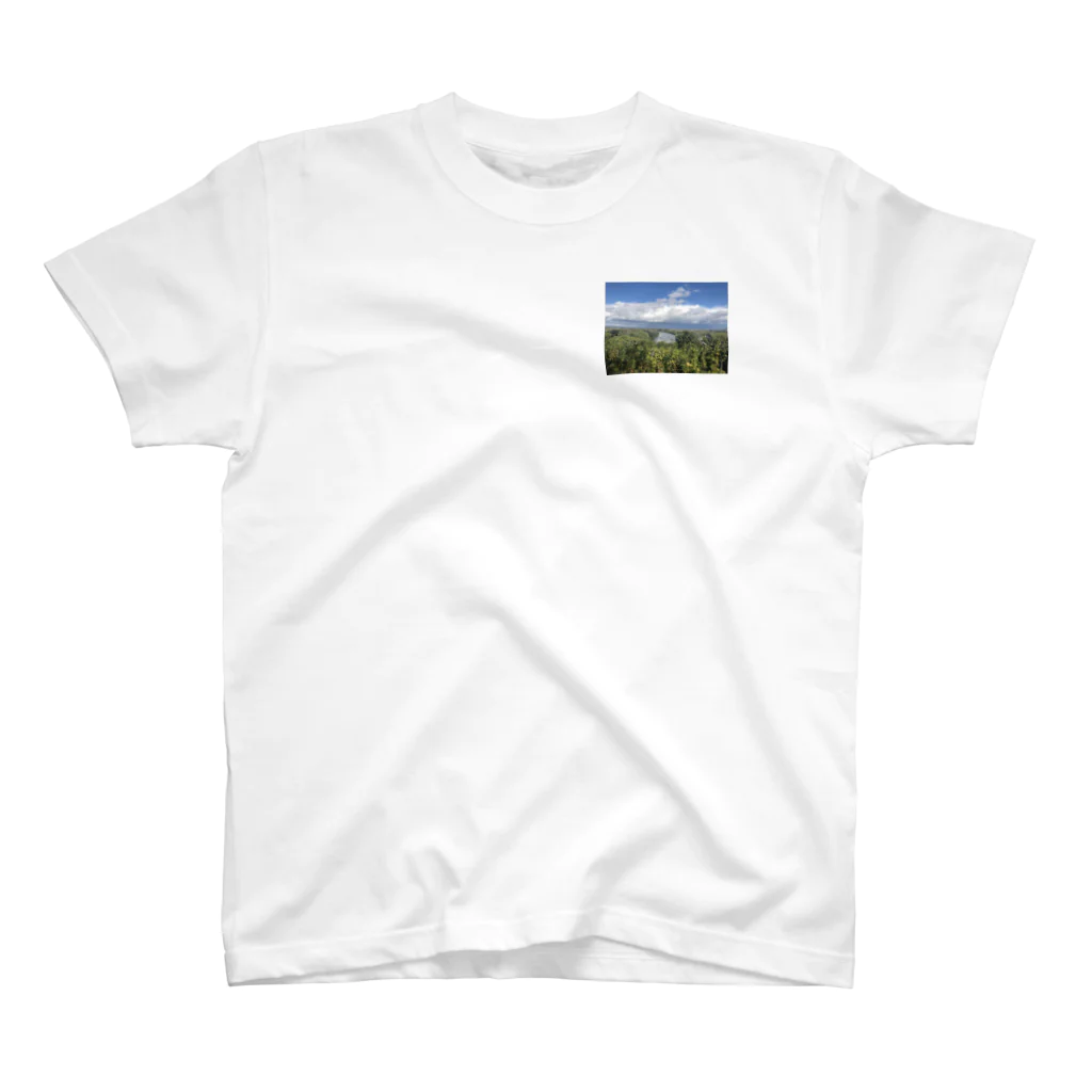 旅先フォトショップのハンガリー トカイでの葡萄畑 スタンダードTシャツ