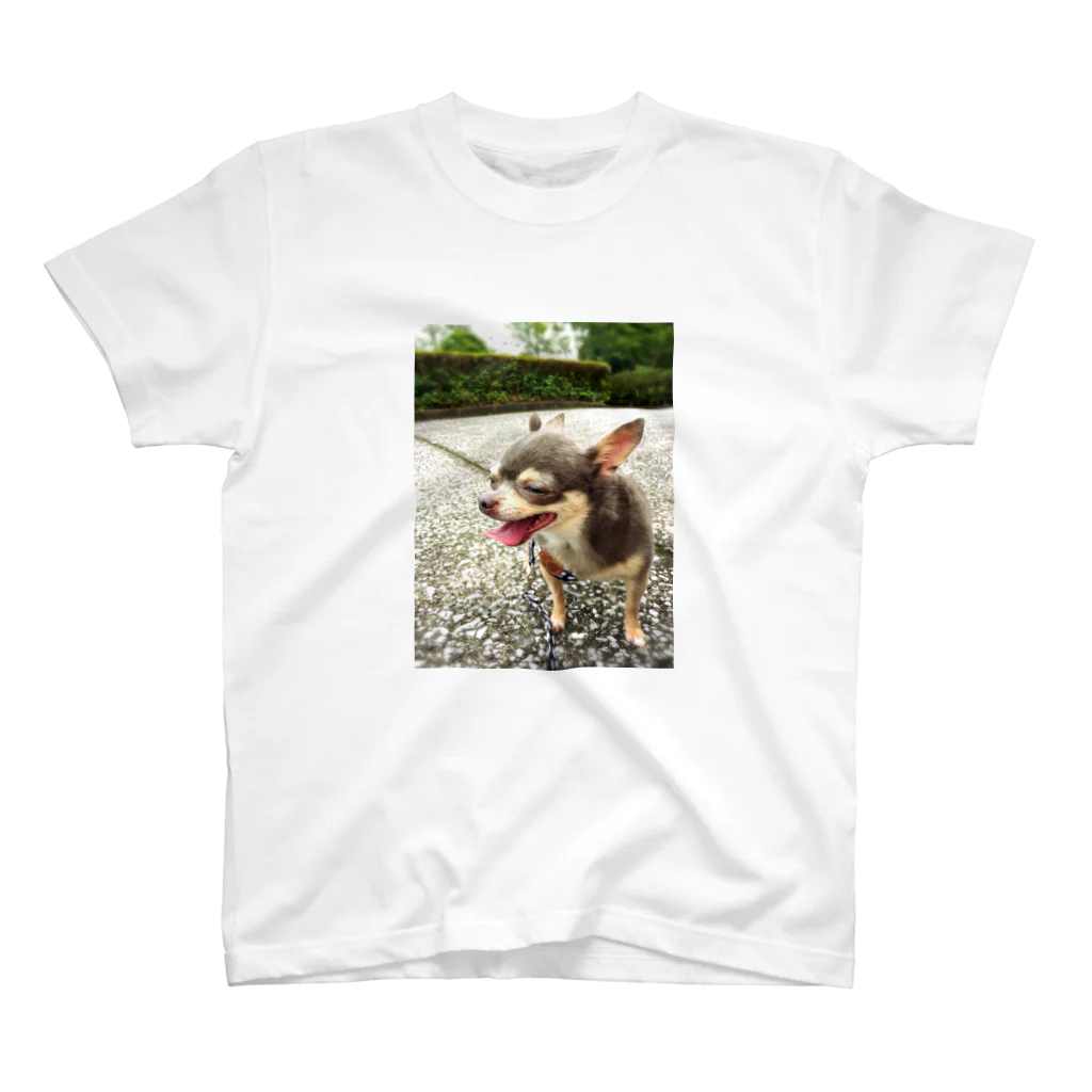 suchikoのHappy         Chihuahua Regular Fit T-Shirt