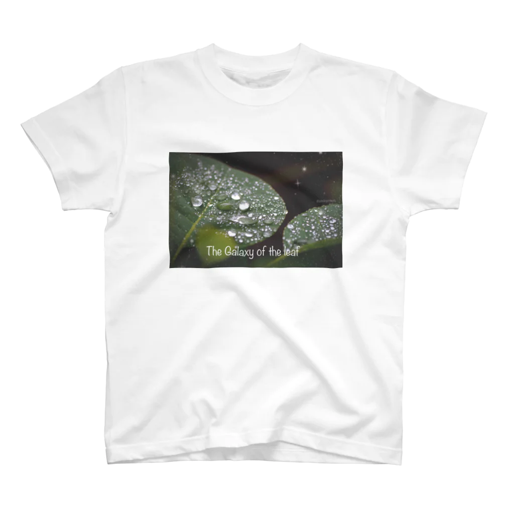 猫とか虫とかの葉上の銀河 スタンダードTシャツ