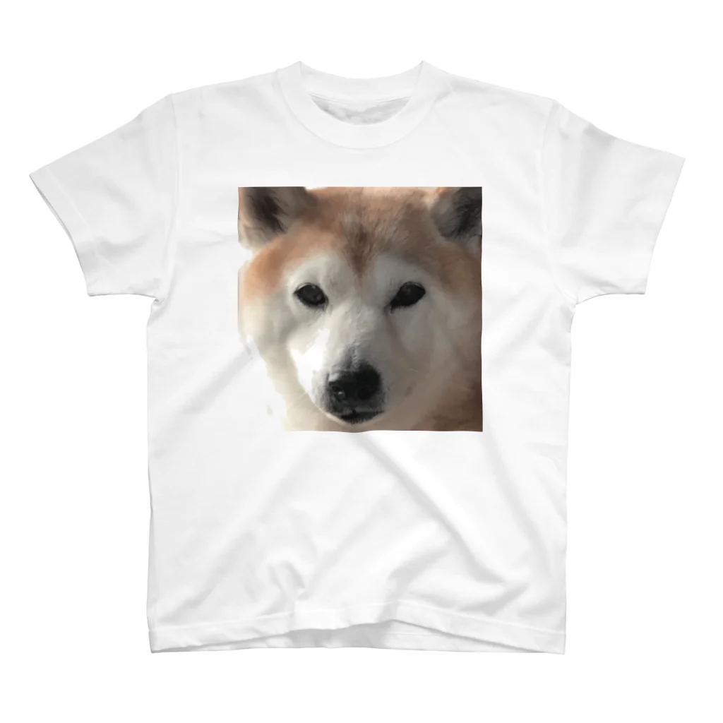 とりいの犬がみている スタンダードTシャツ