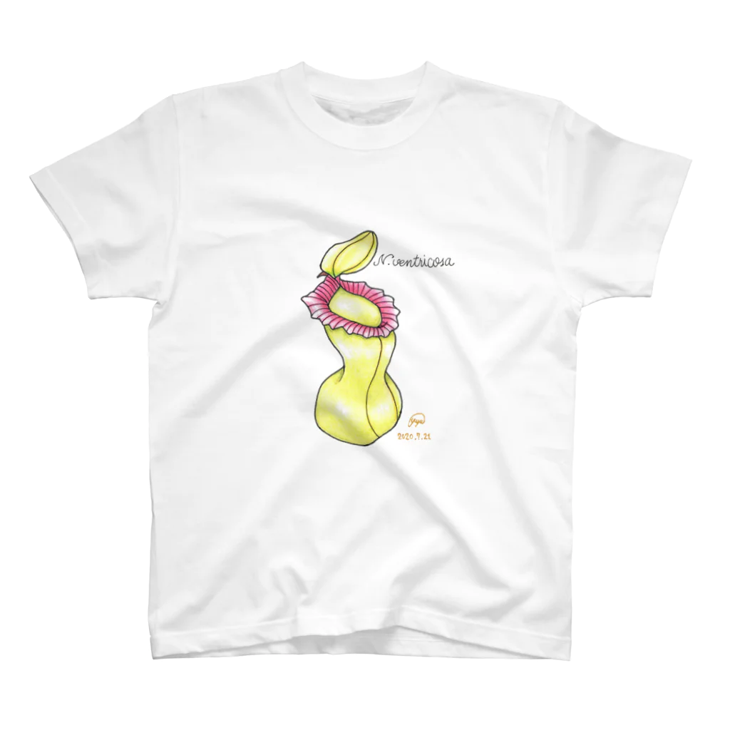 hiros_ppの食虫植物　Nepenthesシリーズ　N.ventricosa 在来系 スタンダードTシャツ