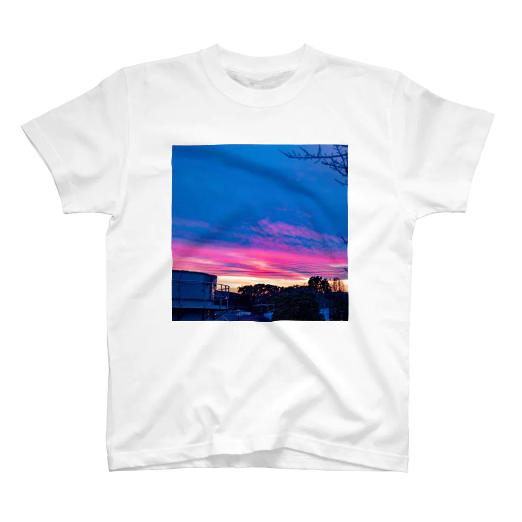 タマムシイロの夕陽 スタンダードTシャツ