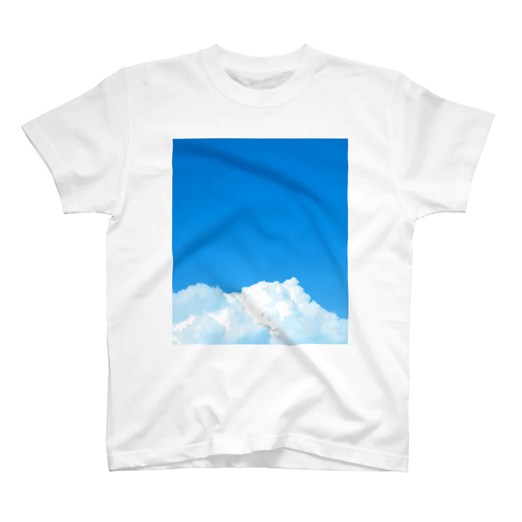 タマムシイロの空空 Regular Fit T-Shirt