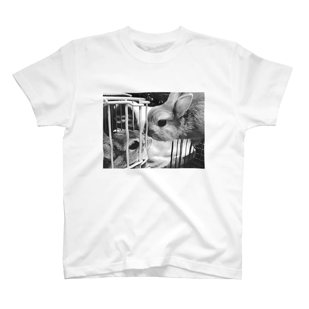『卯のえほん』   〜えほんカフェ「うさぎの絵本」のオンラインショップ〜のKissRABBIT(Tシャツ) スタンダードTシャツ