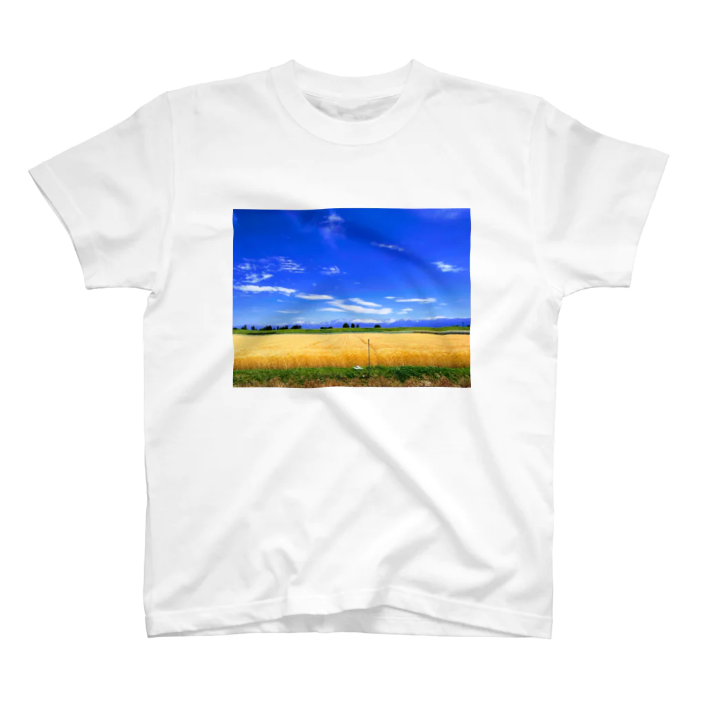 ikuzaのWheat field スタンダードTシャツ