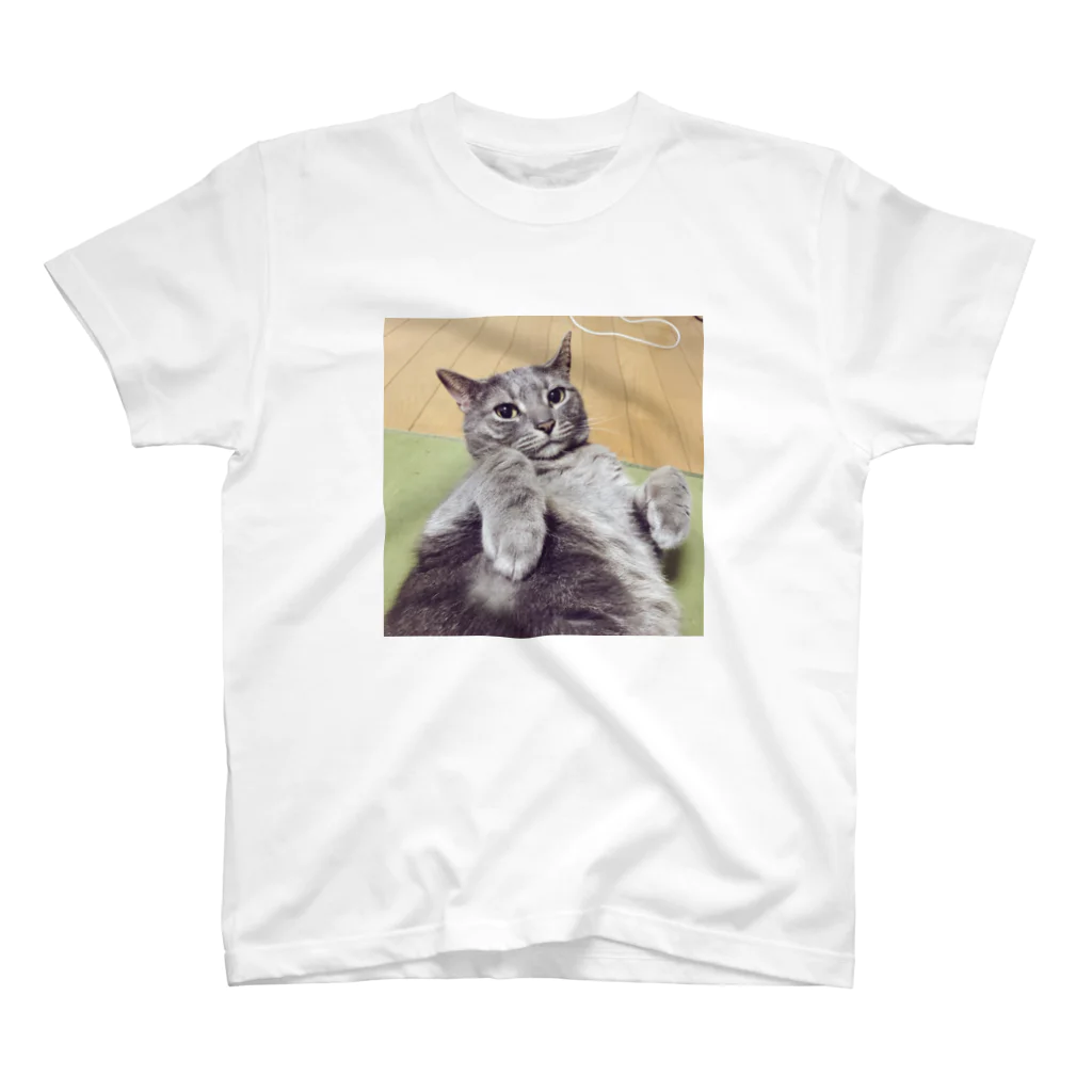 DORAMARUの猫のマルコちゃん Regular Fit T-Shirt