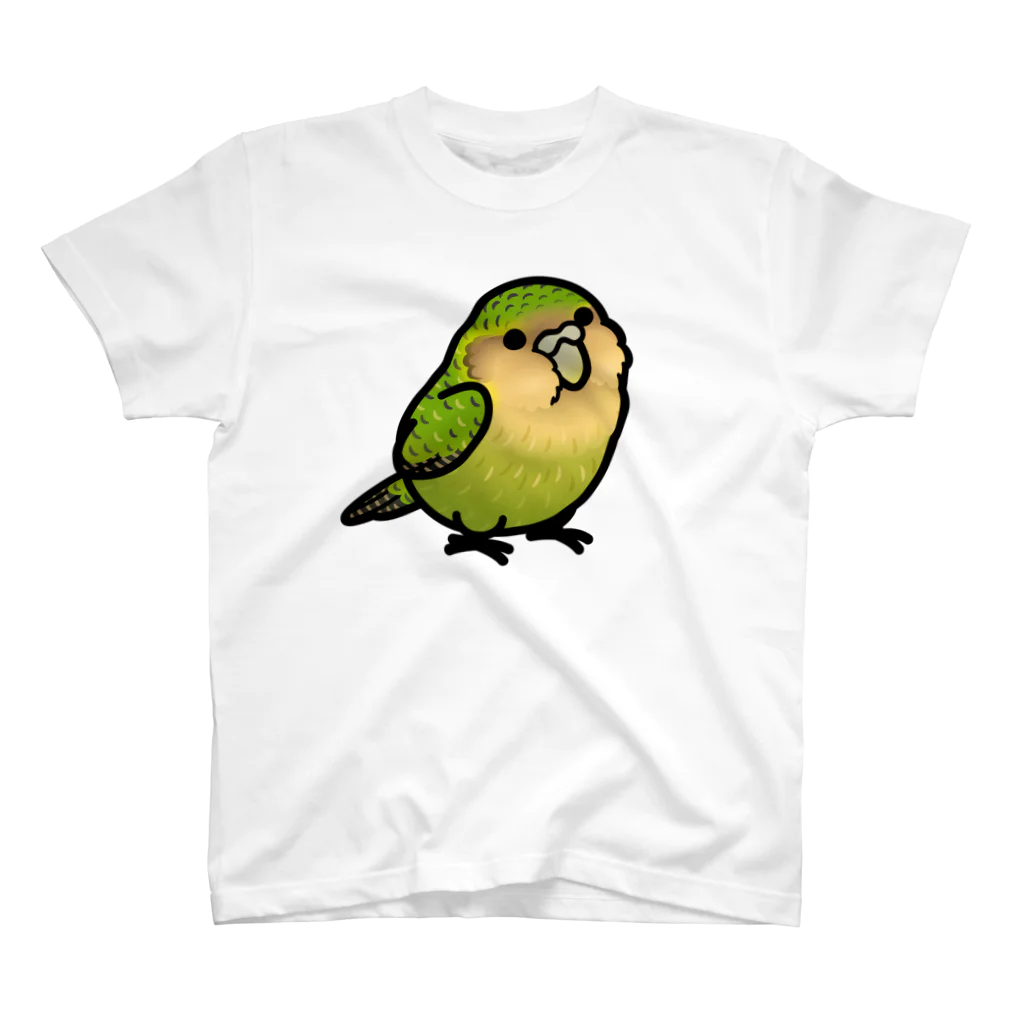 Cody the LovebirdのChubby Bird カカポ スタンダードTシャツ