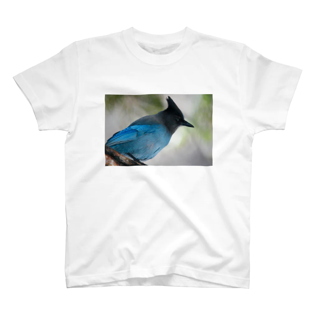 ぷらっこのヨセミテの青い鳥 Regular Fit T-Shirt