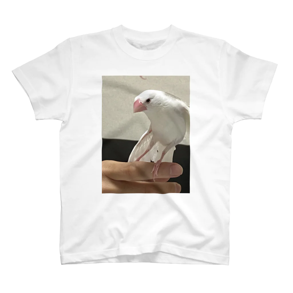 文鳥好きのまめちゃんのしょっぷ♪のまめ♪ スタンダードTシャツ