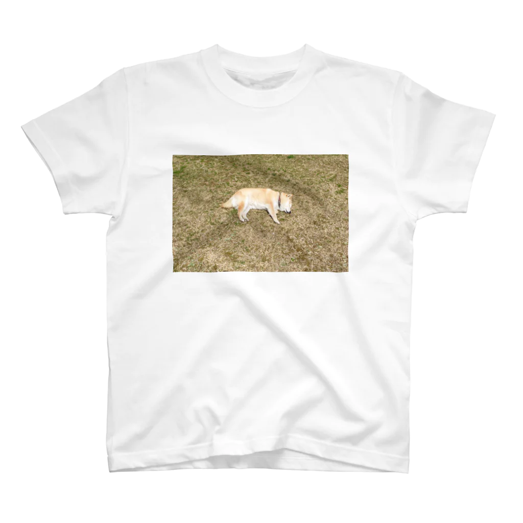 無＿使いの実家の犬 Regular Fit T-Shirt