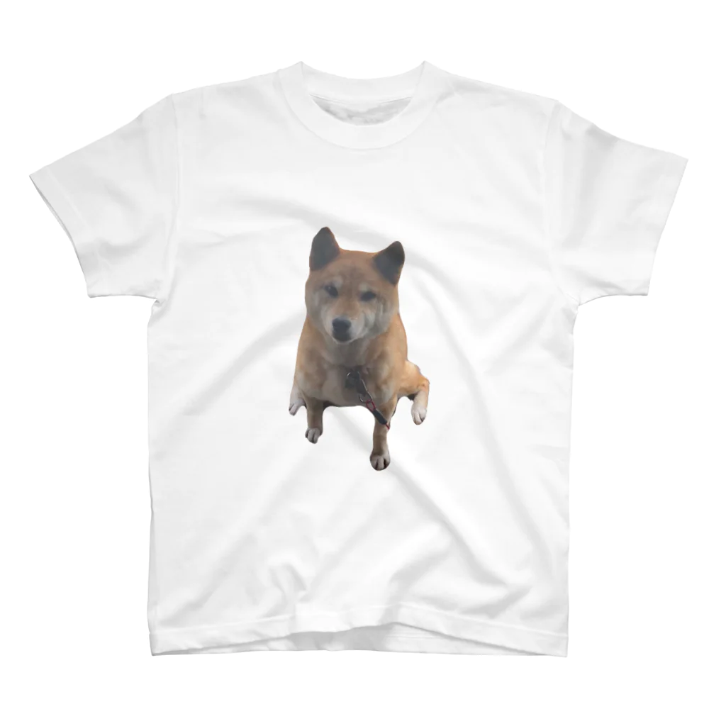 柴犬と柴犬のshibainuうちの子 Regular Fit T-Shirt