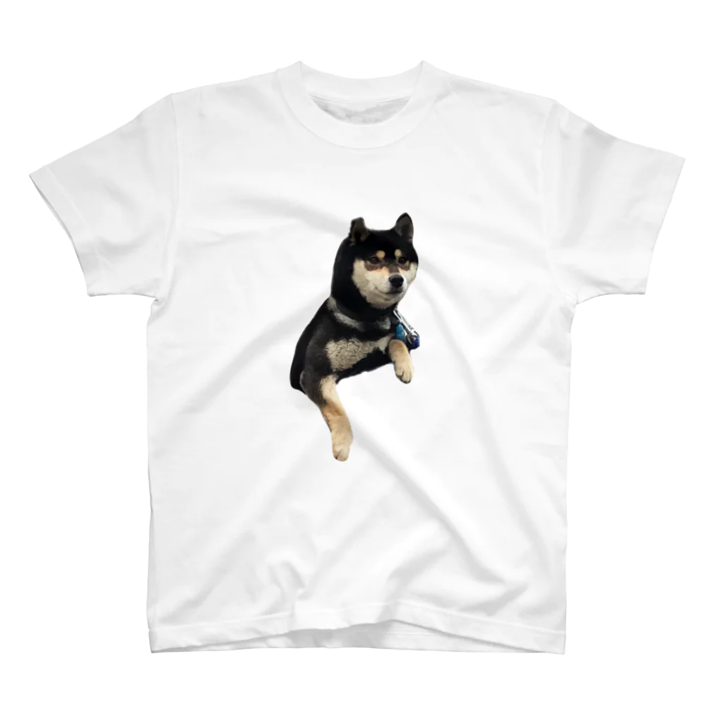 柴犬と柴犬のshibainuうちの子2 スタンダードTシャツ