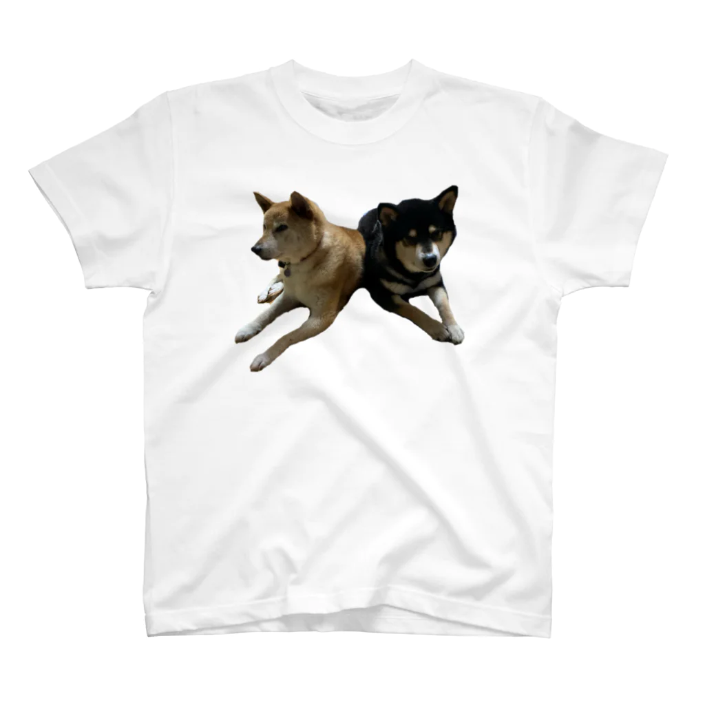 柴犬と柴犬の柴犬2頭 スタンダードTシャツ