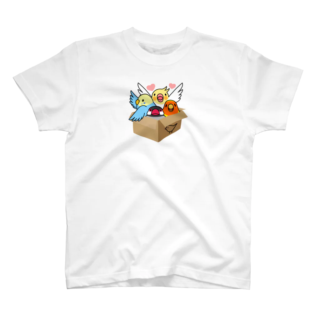 まめるりはことりの拾ってくださいインコ【まめるりはことり】 スタンダードTシャツ