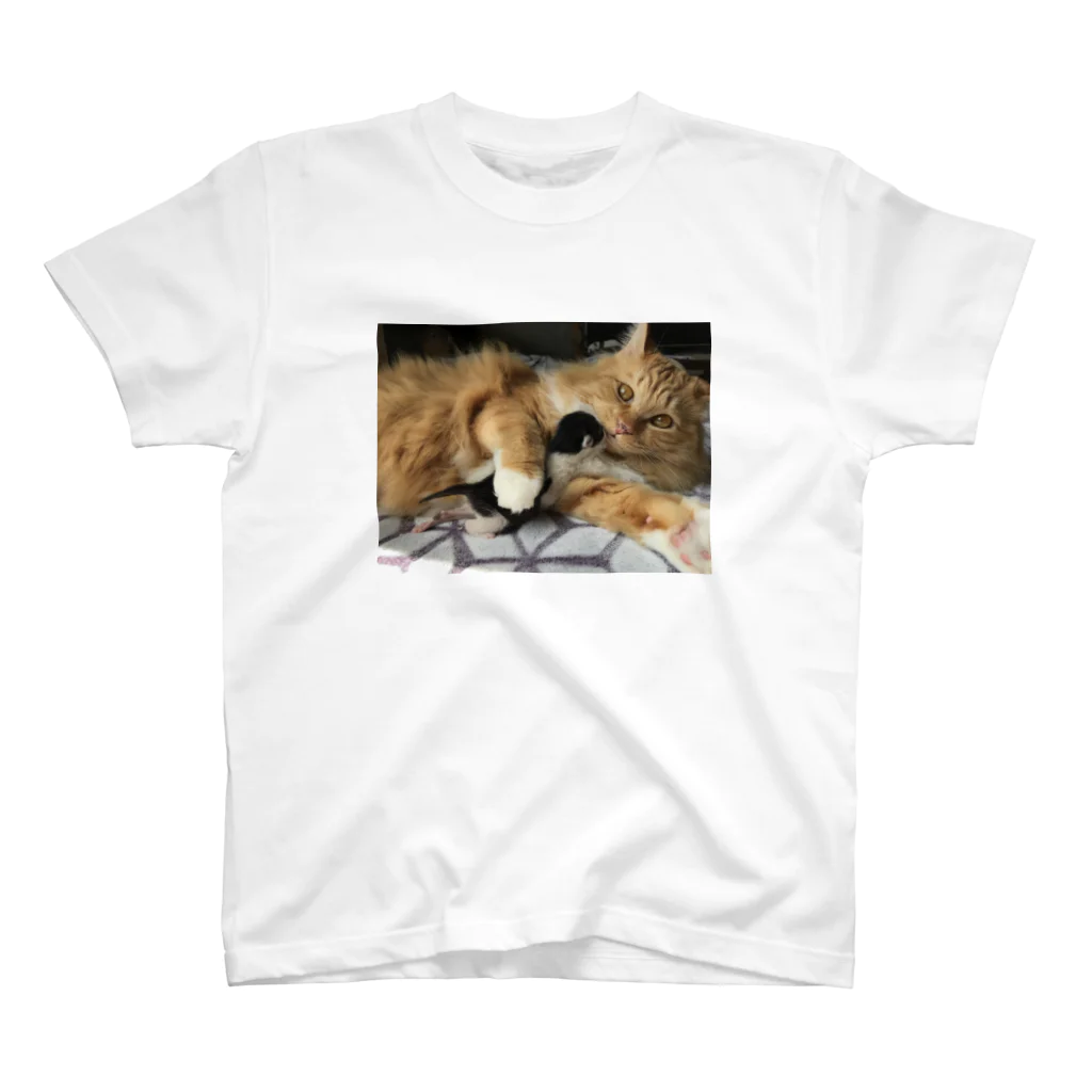 猫太郎の2019年3月20日 スタンダードTシャツ