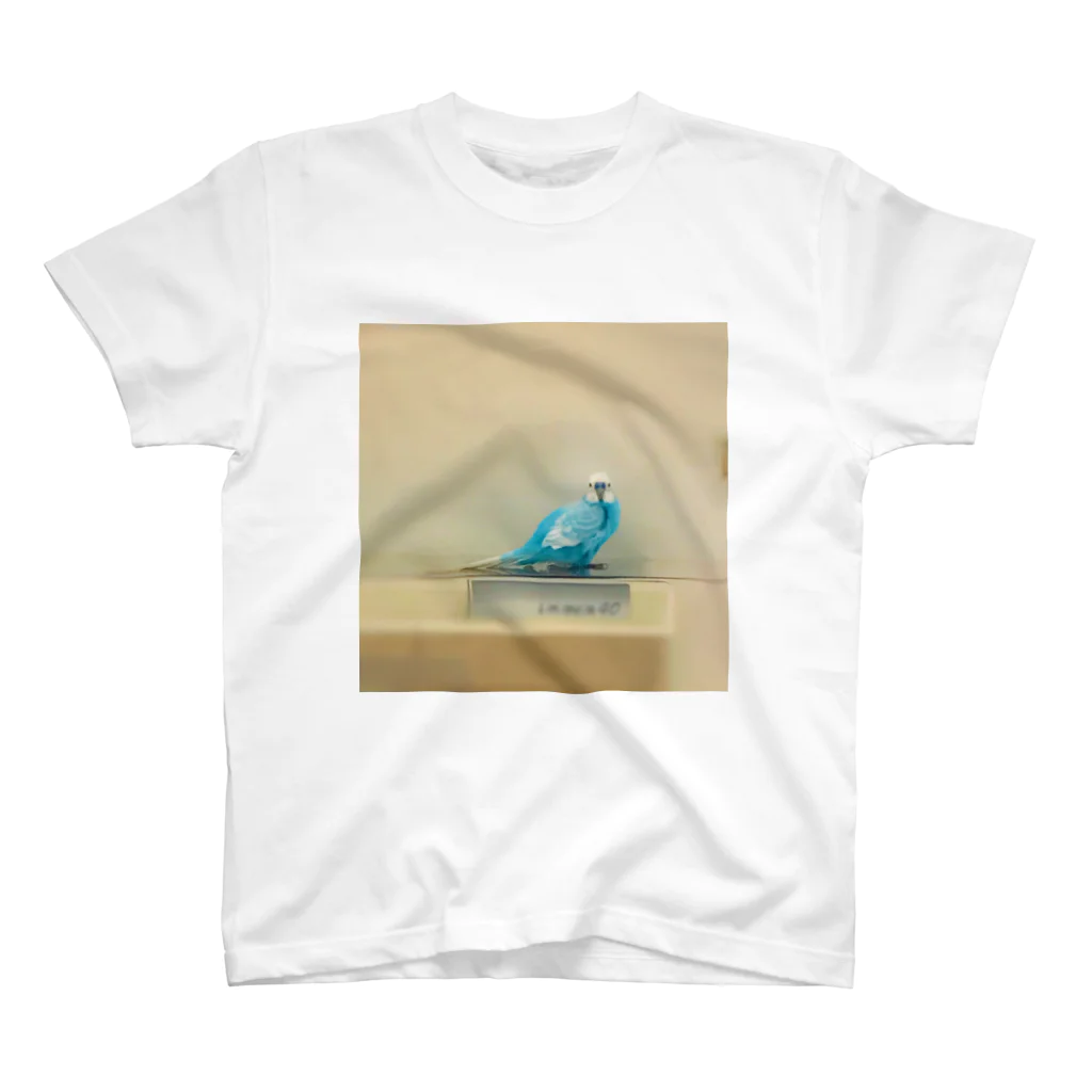 なめくじらの海のインコ様が見てる スタンダードTシャツ