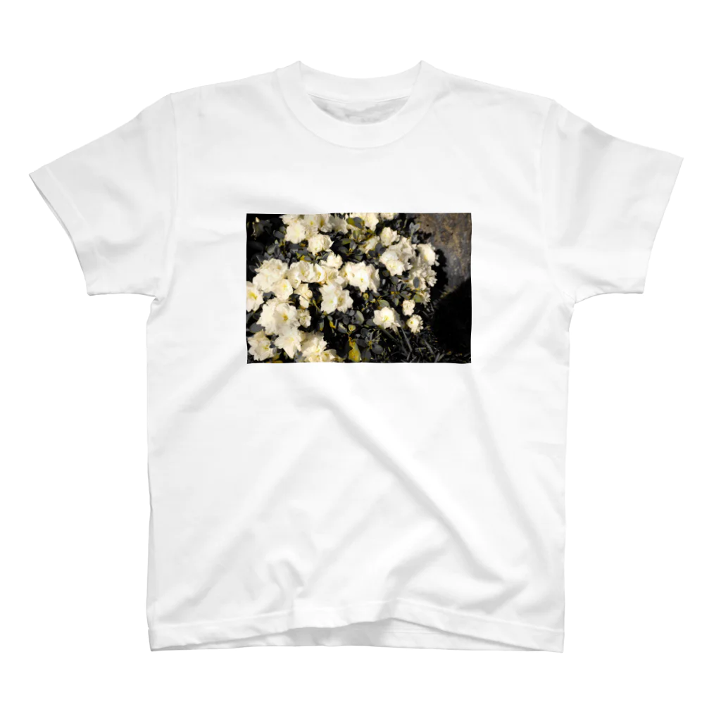 視線の先のたわわflower スタンダードTシャツ