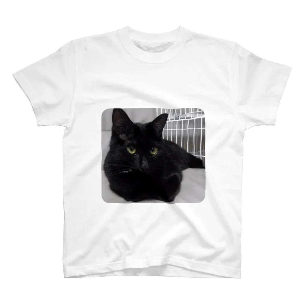 Mikarin85の黒猫ちゃん Regular Fit T-Shirt