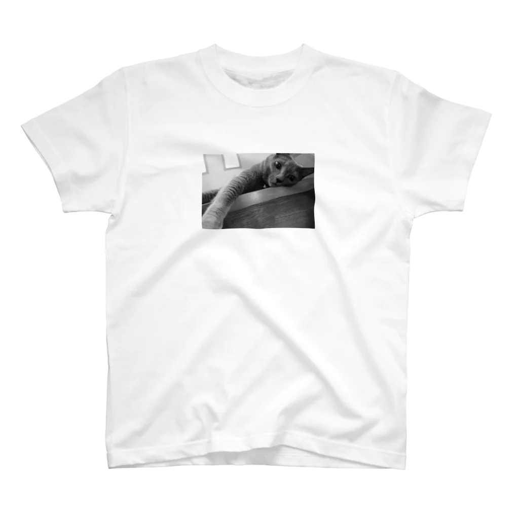 ヒラキノボルのB&W Photography 《心象》 スタンダードTシャツ