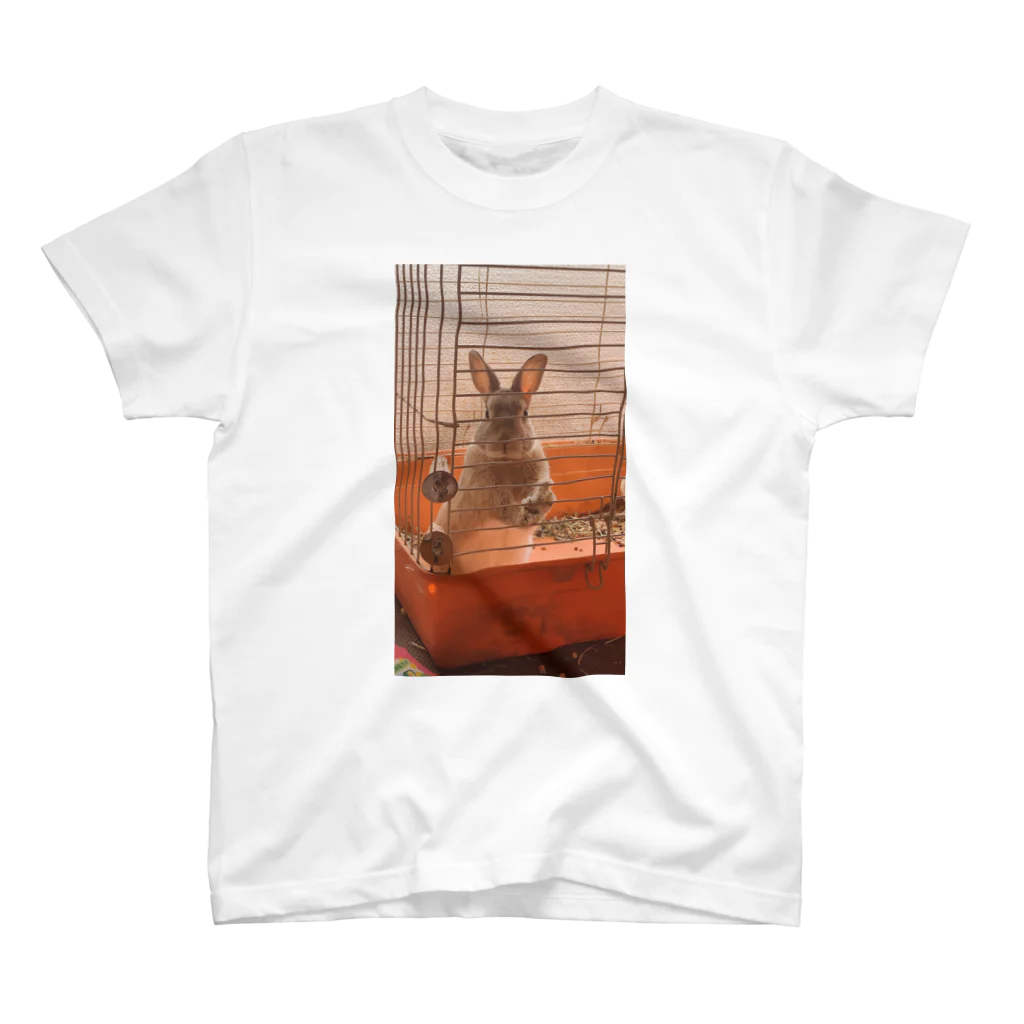 さおりん 森川組 80年ｱｲﾄﾞﾙ好きのウサギのピーターくん スタンダードTシャツ