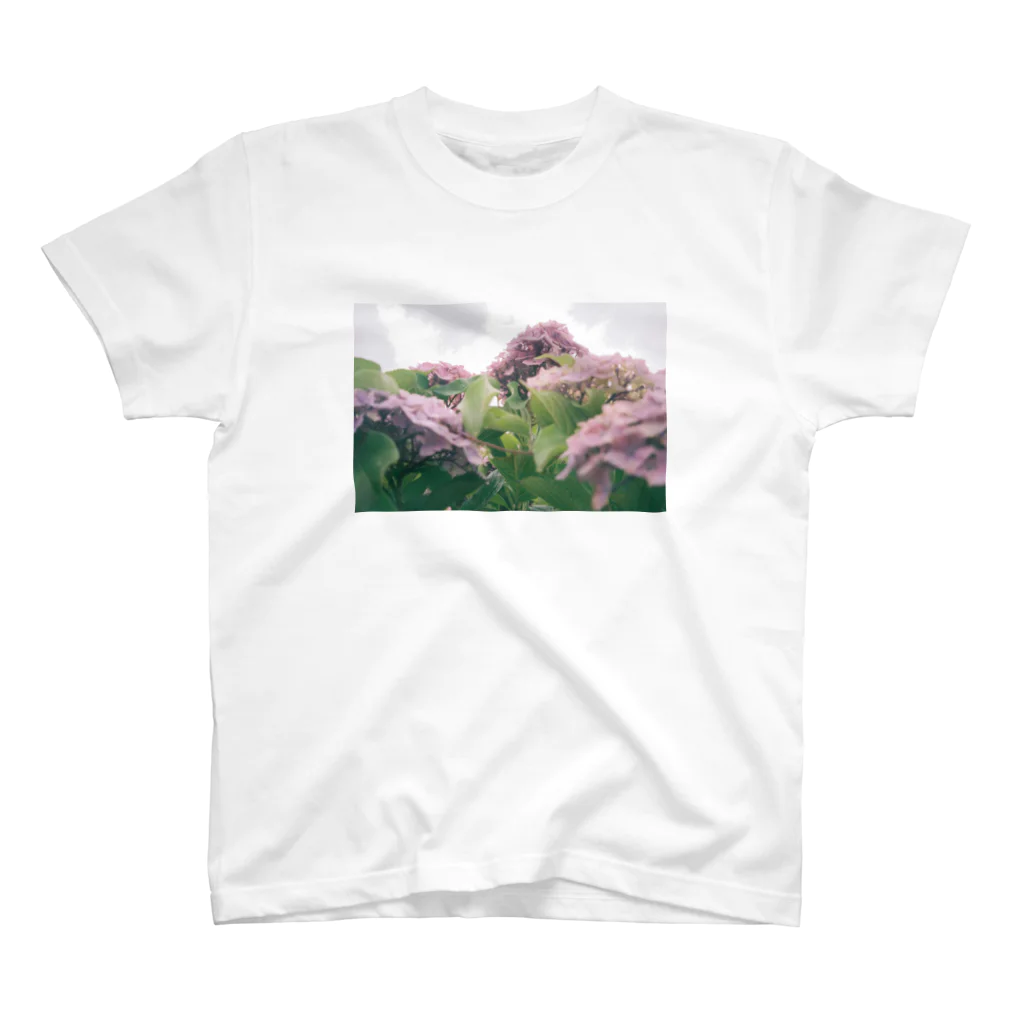 ハコニワの紫陽花 スタンダードTシャツ
