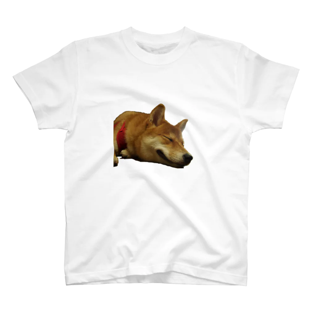 ヤモリの森の寝犬 スタンダードTシャツ