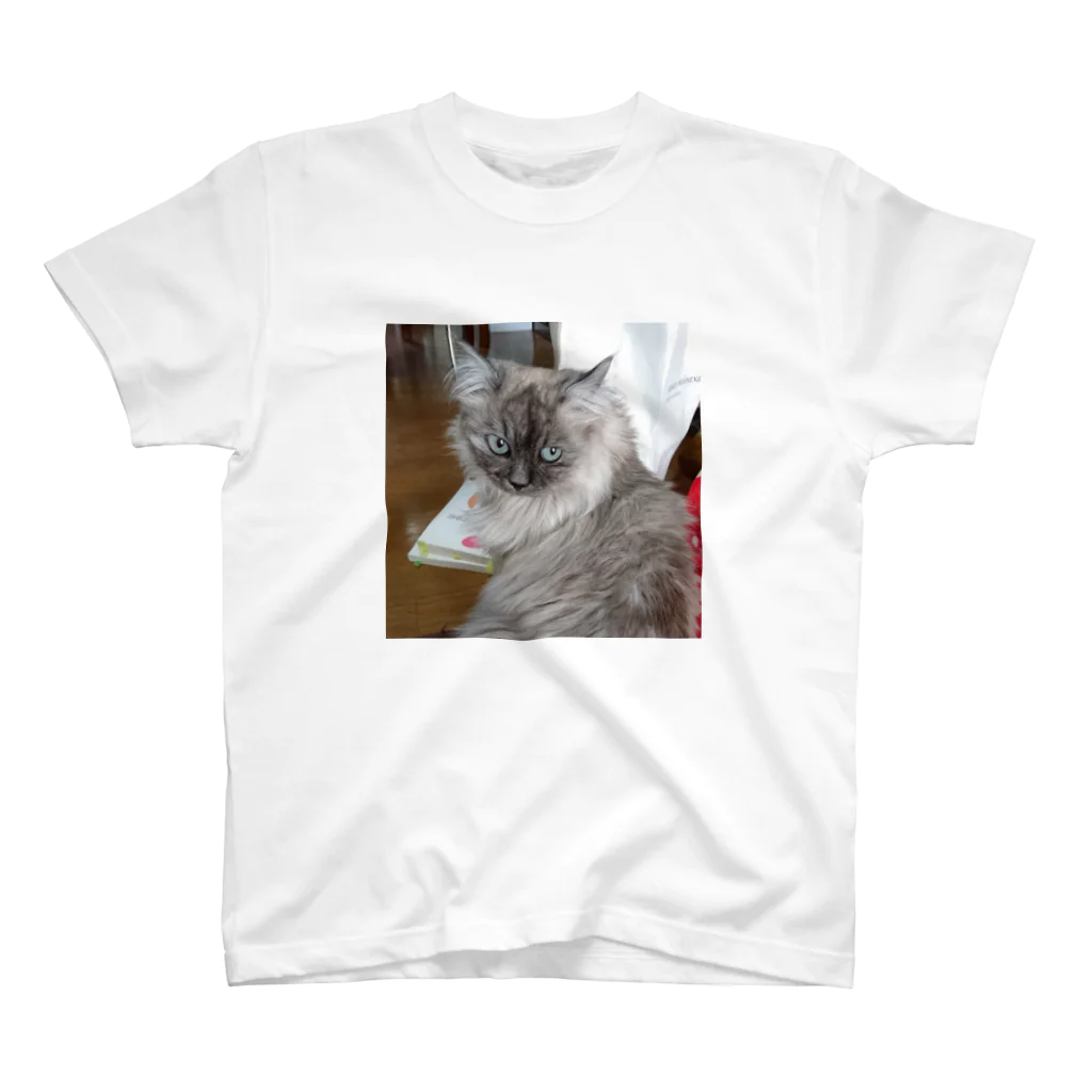 小圷のうちの猫 スタンダードTシャツ