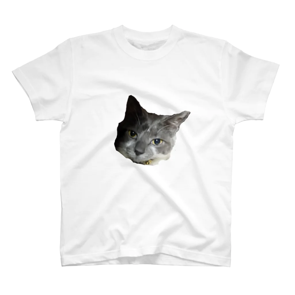 なもやんのお部屋。の猫のロン Regular Fit T-Shirt