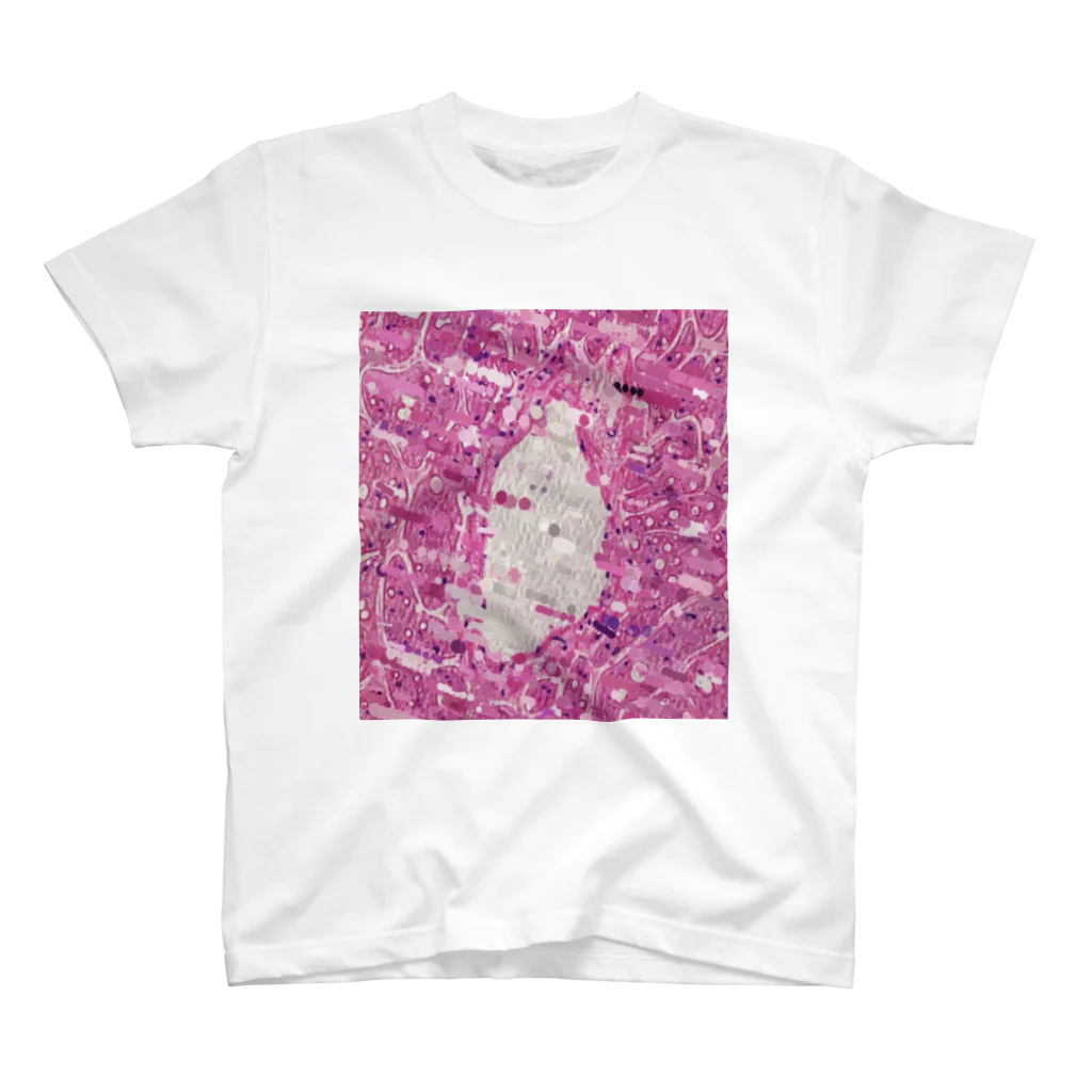 SHCm.のPathology1 スタンダードTシャツ