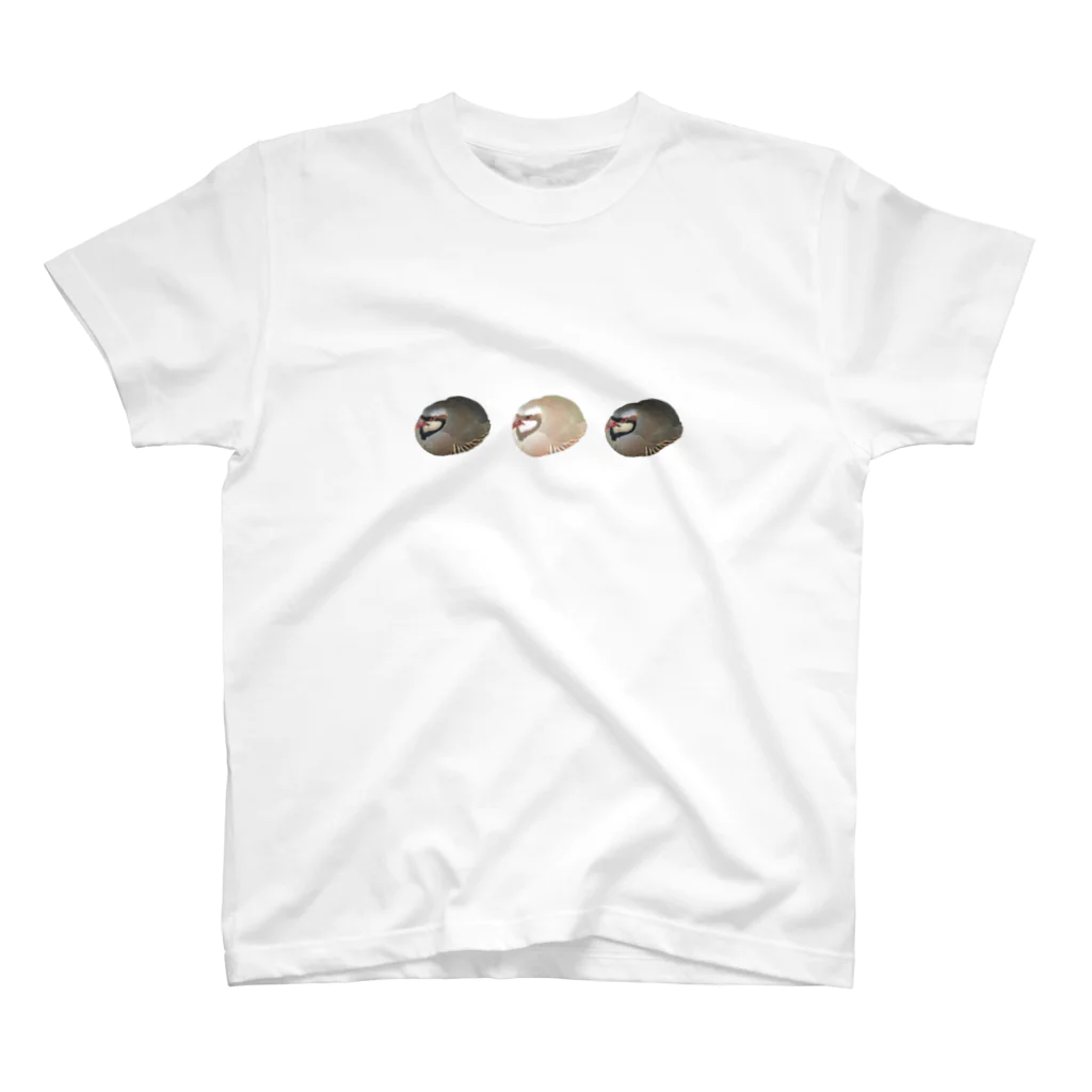 植原翠のお店の3連イワシャコ Regular Fit T-Shirt
