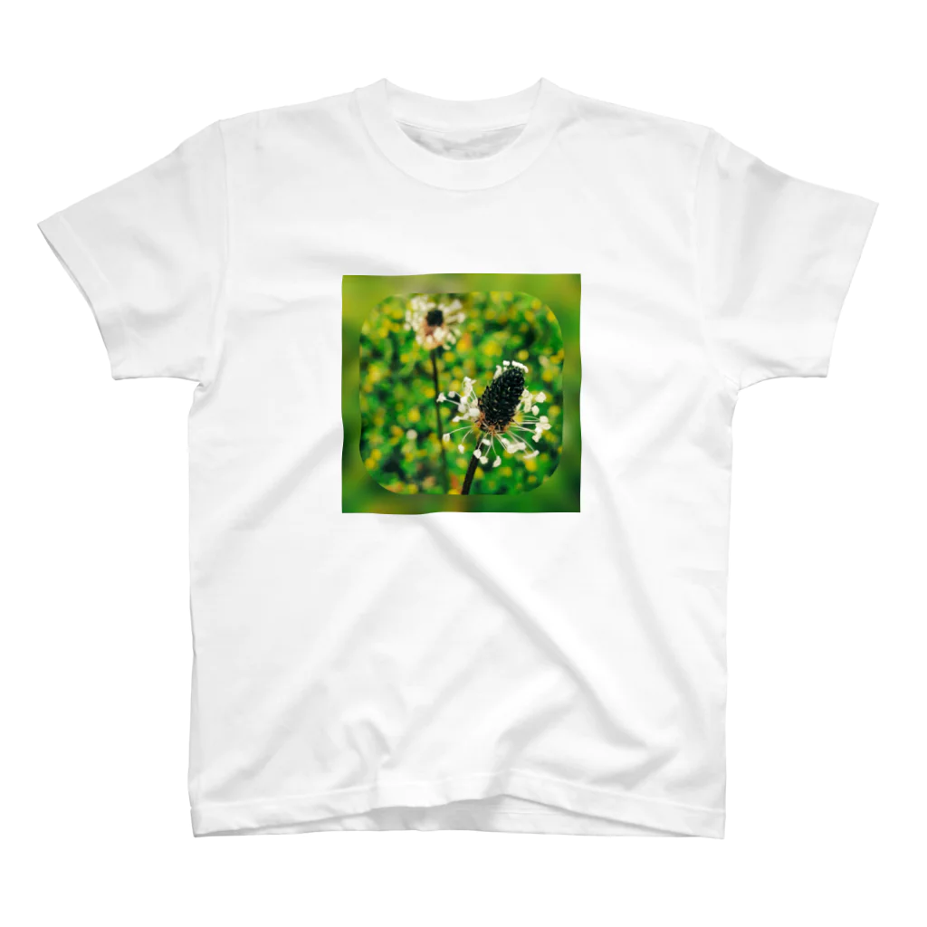 ポヨ丸のwild flower Regular Fit T-Shirt