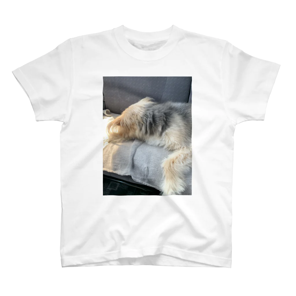 INUGAERUの愛犬クロちゃん　〜睡眠中〜 スタンダードTシャツ